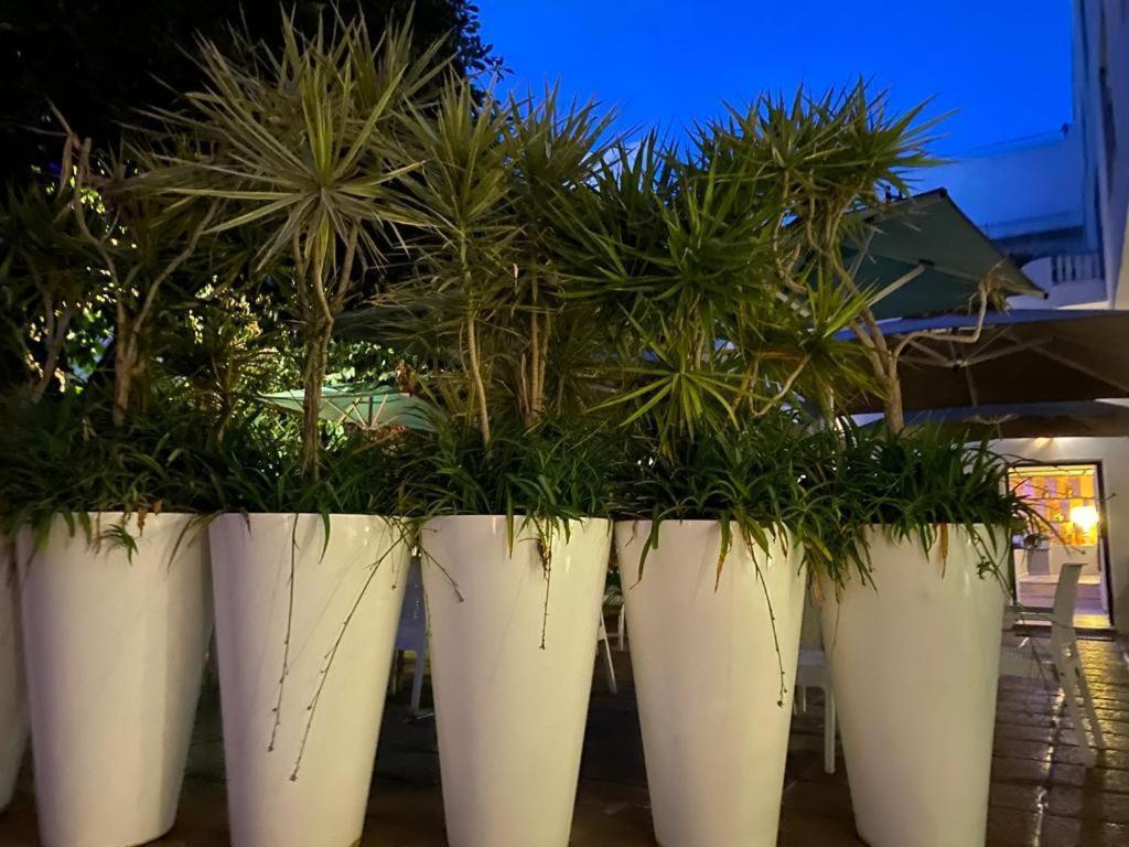 La Hotel Hammamet