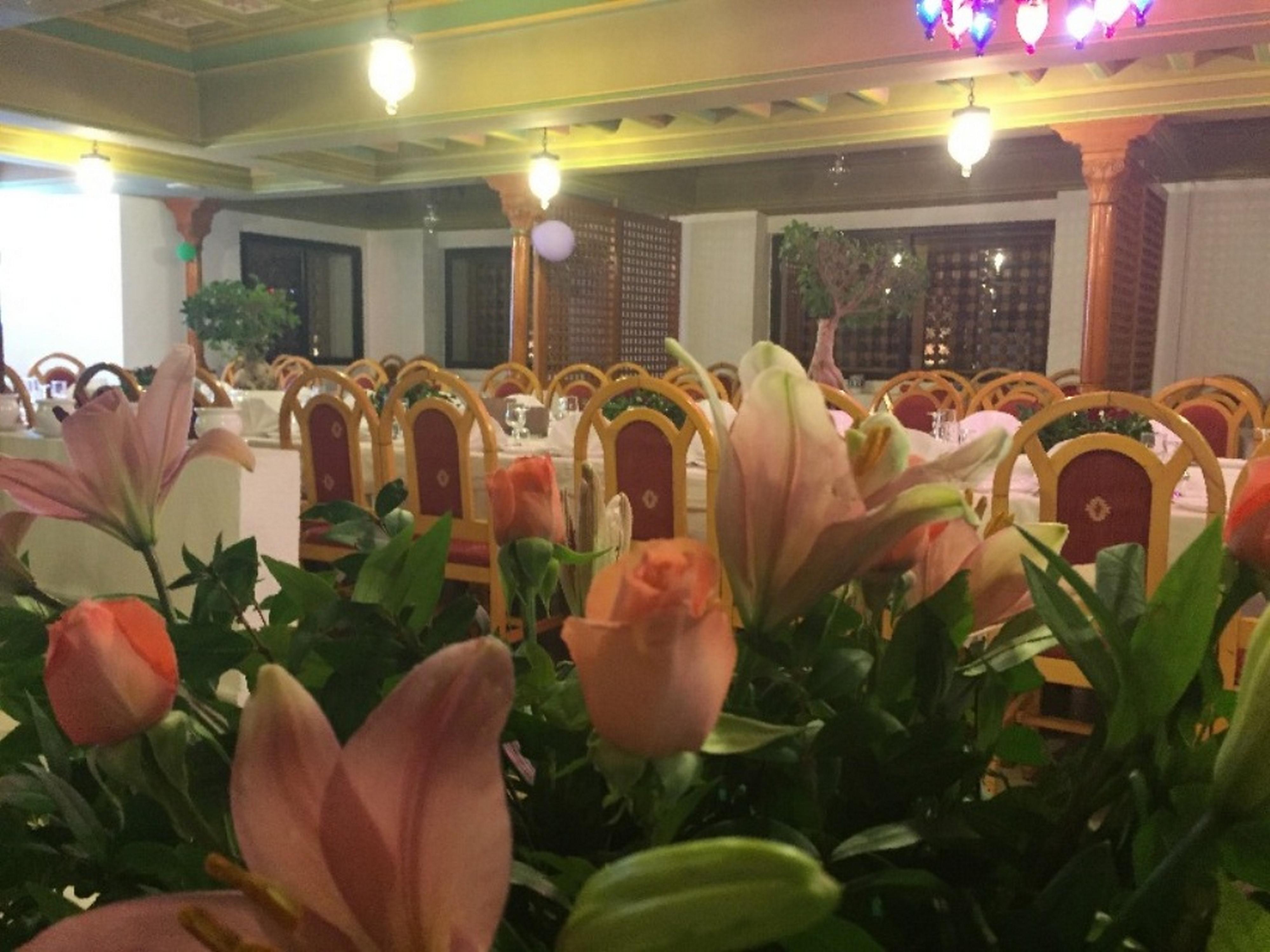 Hotel La Hammamet