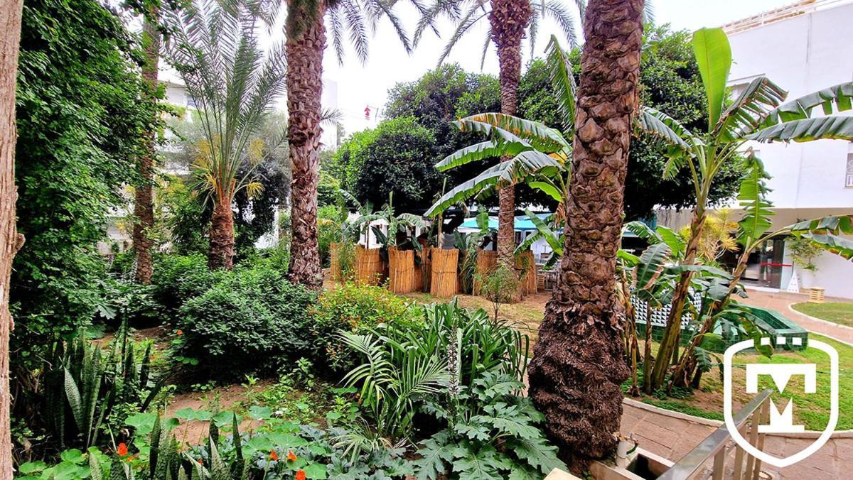 La Hammamet